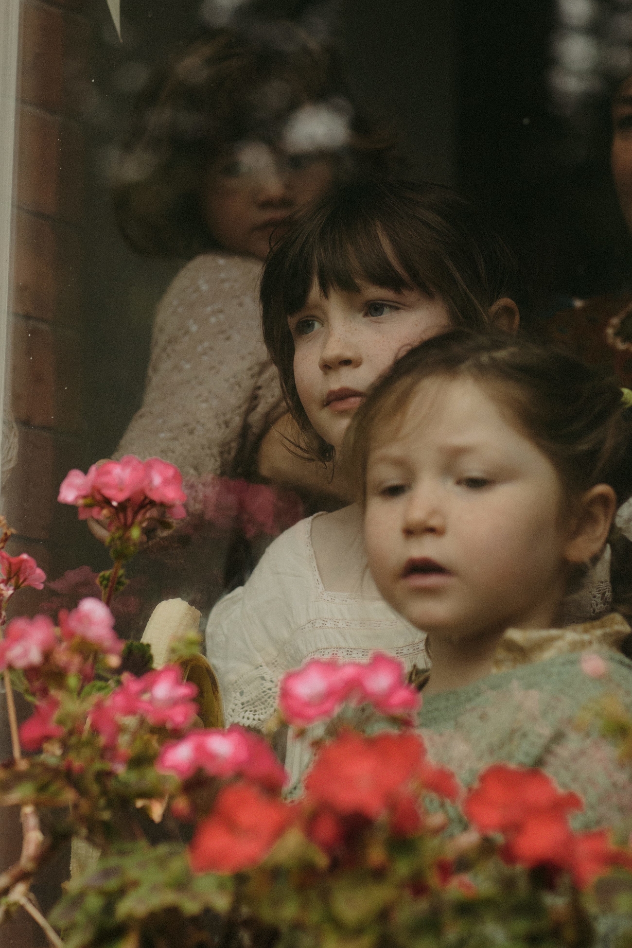 Through the window project The Staves Family Coralie Monnet 54
